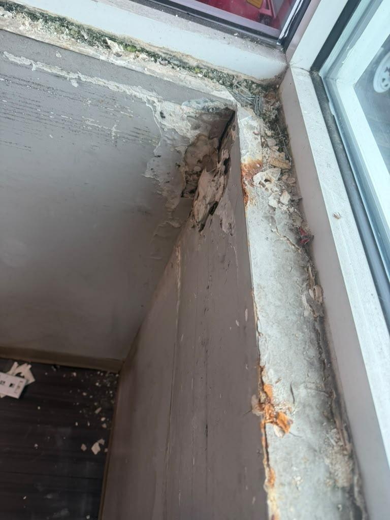 commercial renovations — photograph 1 by ZEFF Construction